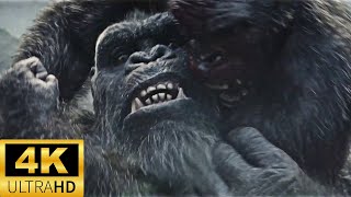 'Kong Attacked by The Great Apes' [4K HDR] | Godzilla x Kong: The New Empire (2024)