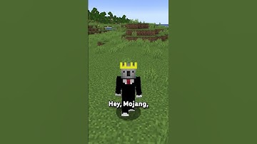 What Happened to the Minecraft Netflix Show...