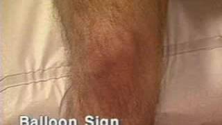 Download Lagu Exame De Musculoesqueletico MP3 Exame De Musculoesqueletico