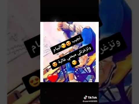 نشاله نجيب البيام