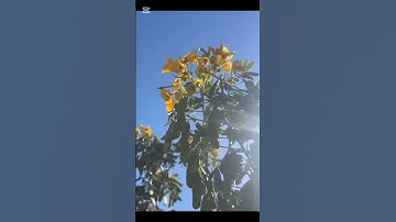 تلاوه هاديه #قران كريم#اكسبلور.. اجر لي ولكم..