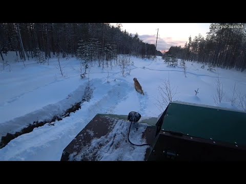 ГЛУБОКИЙ СНЕГ ДЛЯ КАРАКАТА НЕ ПОМЕХА! МЕДЛЕННО НО УВЕРЕННО! СНЕЖНАЯ ЗИМА 2022.