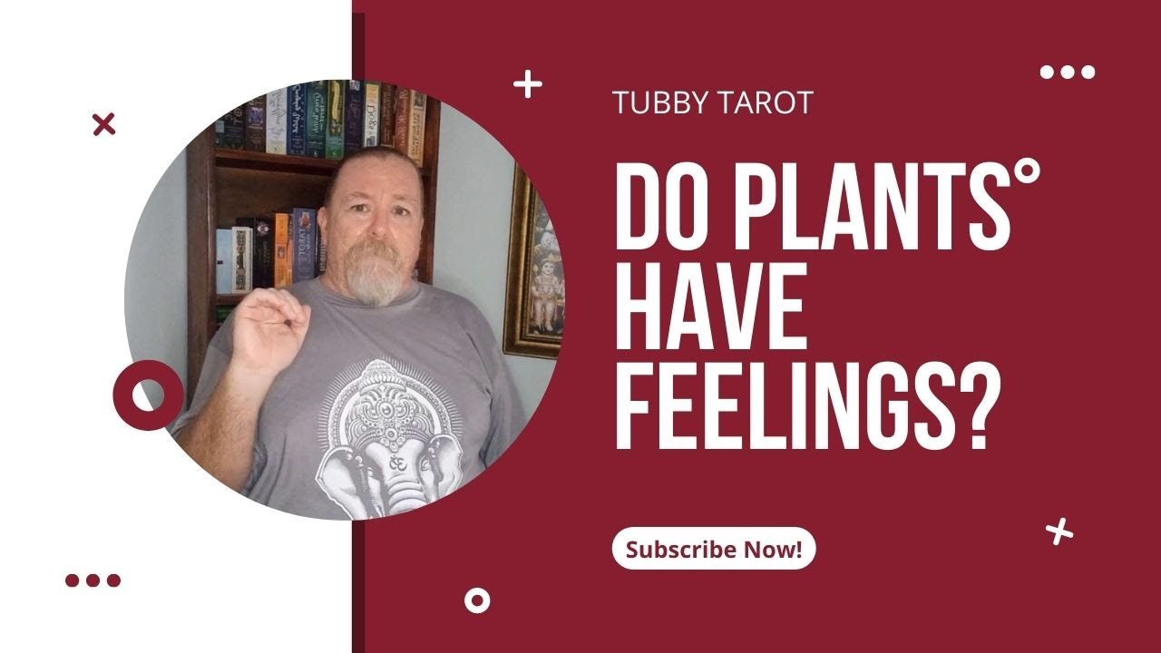 Do Plants feel pain? YouTube