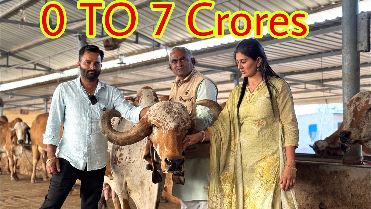 Itni badi gaushala pehli baar dekhi ajj rameshbhai ruparelia  