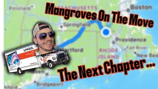 Mangroves On The Move... the BIGGEST change of my life...