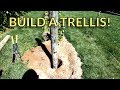 How To Build a High Cordon Grape Trellis ― Setting the End Posts How To Build a High Cordon Grape Trellis ― Setting the End Posts