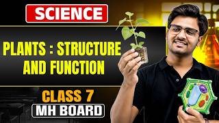 Class 7 Science | Chapter 2 | Plants : Structure and Function | Maharashtra Board | Abhay Sir