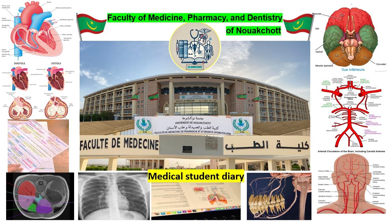 يوميات طالب في كلية الطب 🇲🇷