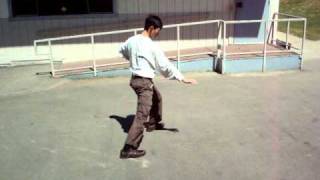 hsing-yi 12 animals Hebei eagle-bear