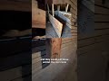History that still works. #barn #oldbarn #oldfarmhouse #oldhouserestoration #granary