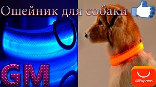 Светящийся ошейник для собак с Aliexpress