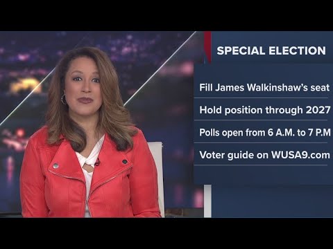 Who’s running for the special election in Fairfax County? - YouTube
