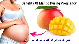 Benefits Of Eating Mango During Pregnancy / حمل کے دوران آم کھانے کے فوائد