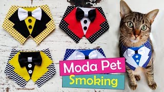 #3 Moda Pet: Colarinho Smoking