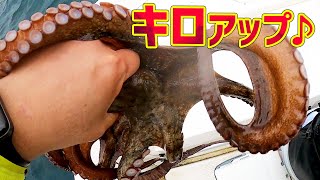 【タコ釣り】１キロアップはうれしいな♪ボートタコ釣り♪ ～東京湾タコ釣り～