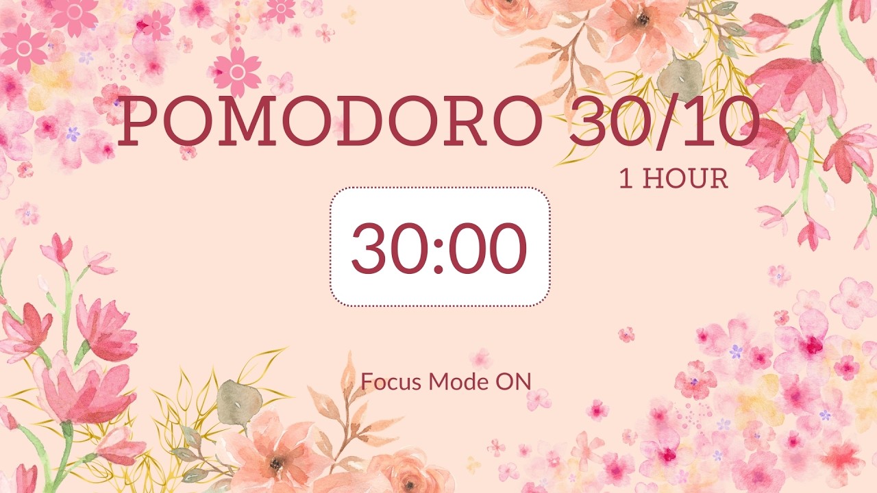 30/10 pomodoro timer / 1 hour / no music / Focus Mode ON 🦩