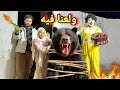اسلام قاسم هجم علي الدب المتوحش بقنابل الشماريخ فرحه العمر ولكن 