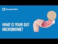 What Is Your Gut Microbiome?