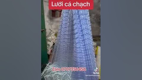 Cá cần lưới cá chạch thì alo