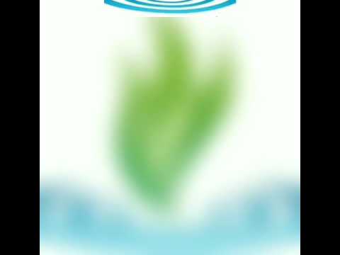 Magadhcsp | AePS, DMT, Pan Center, Recharge, Bill Payment, etc. - video from FSRD Fuels