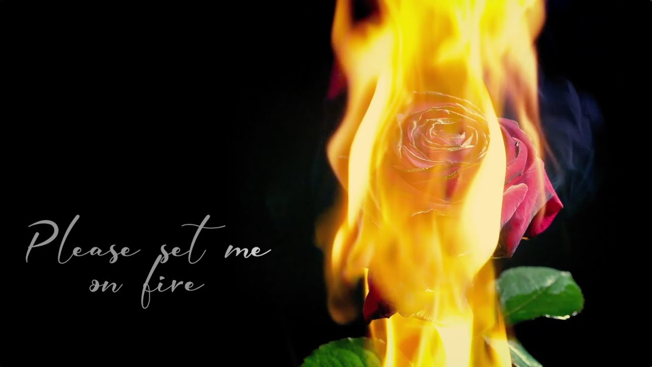 Estelle Set Me On Fire Official Lyric Video Youtube