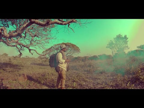 Cambezo - Ndinaenda Kupi (Vídeo Official)