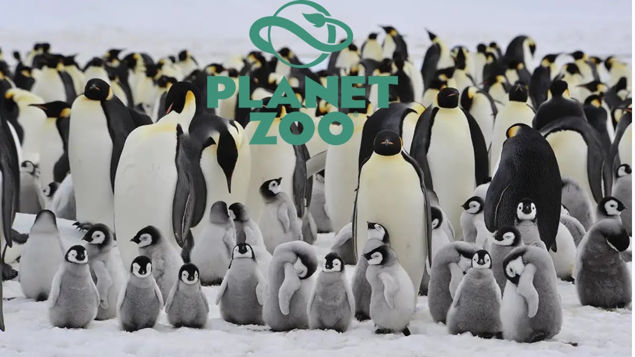 Emperor Penguin Habitat Speed build: Planet Zoo