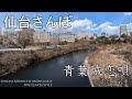 【日曜深夜名曲 vol.345】仙台さんぽ | 青葉城恋唄 (さとう宗幸)