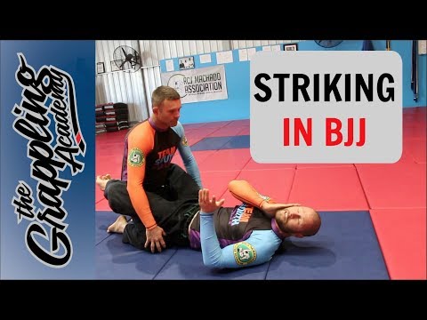 Striking In BJJ