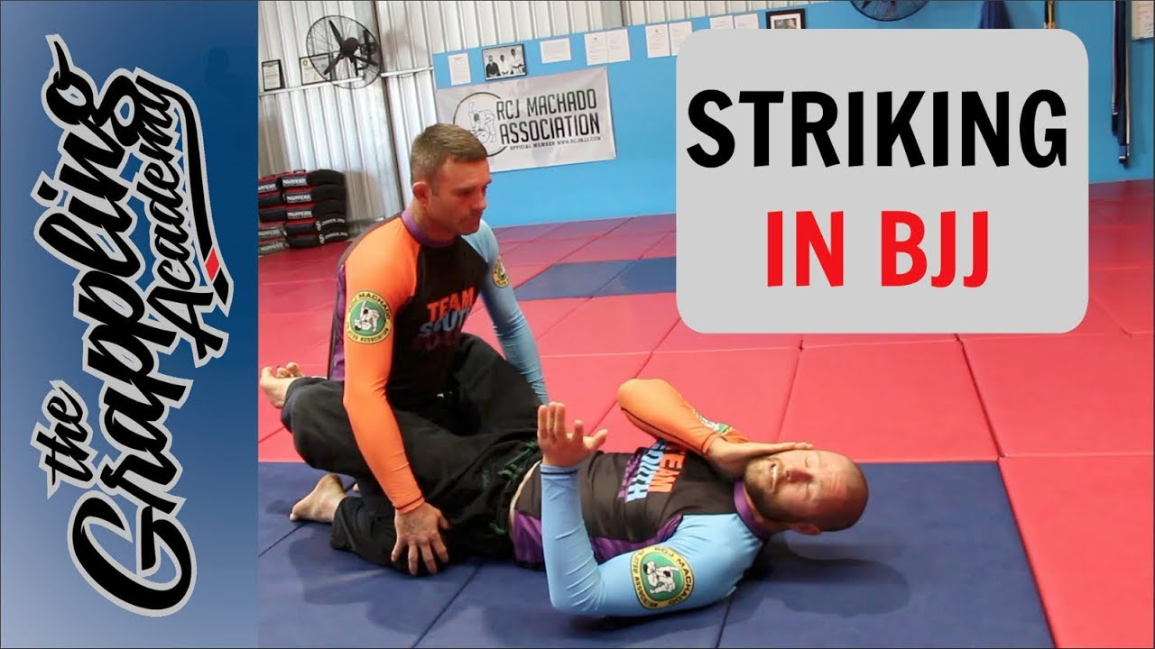 Striking In BJJ YouTube