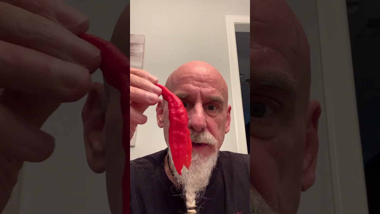 УДИВИТЕЛЬНЫЙ ПЕРЕЦ! Ghost X Cayenne, выращенный Джейсоном Харродом!