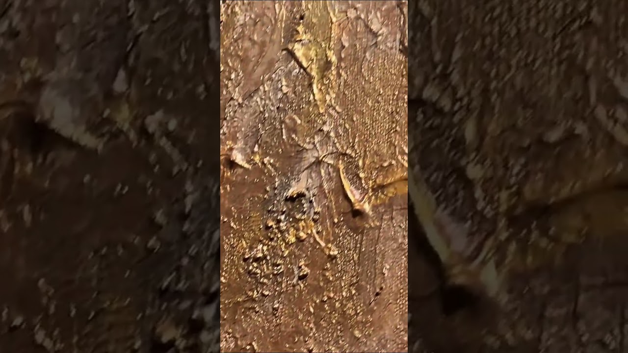 Abstract art and islamic calligraphy 