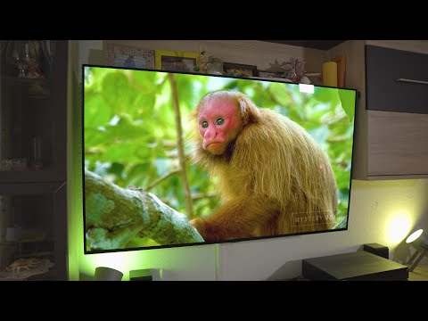 Video: LG OLED Televizori: Sagorijevanje I Vijek Trajanja, Ultratanke TV Značajke I Savjeti Za Odabir