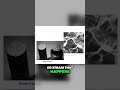 Ceramics vs Metals - The Untold Secrets of Brittle vs. Ductile Materials! #Biomaterials #Engineering