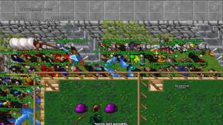 MAGARIAN NO TRÊS | TIBIA WAR ELDERA #1 💀
