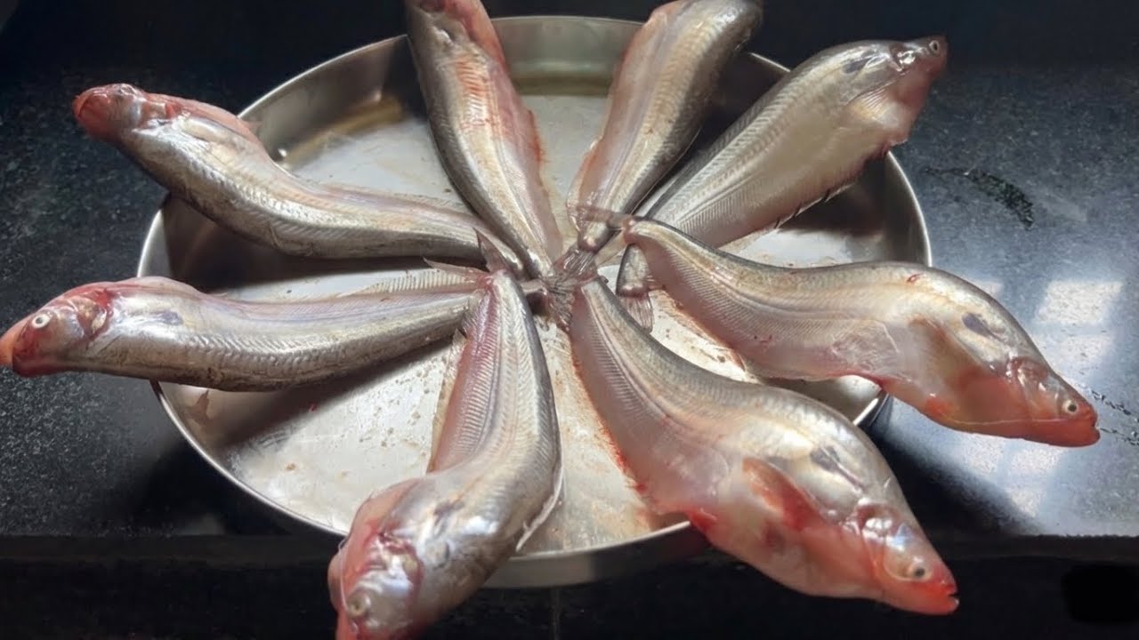 Pabda Macher Jhol Recipe | Bengali Fish Curry