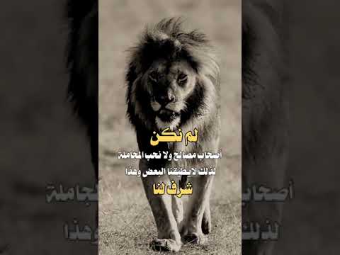 حكمة اليوم لم نكن من أصحاب المصالح 