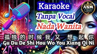 Gu Du De Shi Hou Wo You Xiang Qi N 孤独的时候我又想起你 - Female Mandarin Karaoke - Tanpa Vokal - Nada Wanita