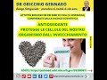 SEMI DI CHIA - DR ORICCHIO GENNARO BIOLOGO NUTRIZIONISTA