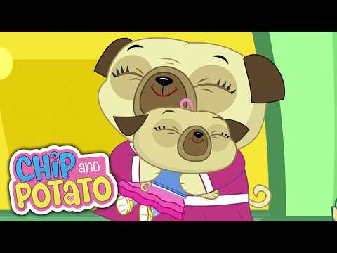 Nico's First Day // Sporty Chip | Chip and Potato - WildBrain | Kid Movies