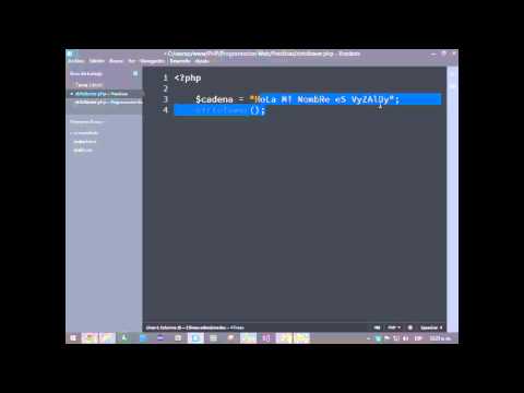 Como usar strtolower en PHP
