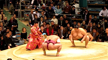 Quanto guadagna un lottatore di sumo?