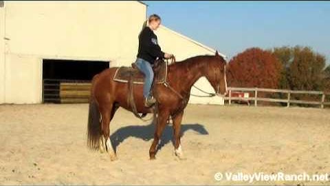 Annie B Smokin      ***For info, price, etc., go to our website***  Valley View Ranch