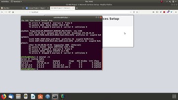 Group Project 1 Task 4