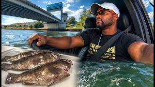 Went fishing and caught these Tautog (Togs) !! NJ Fishing.