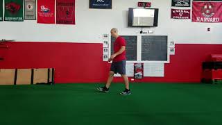 Hip Turn to Lateral Shuffle