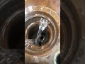 Cylinder Head Replacement Youtubeshorts Youtube Ytshorts Viralvideo Video Foryou Like New Cylinder Head Replacement Youtubeshorts Youtube Ytshorts Viralvideo Video Foryou Like New