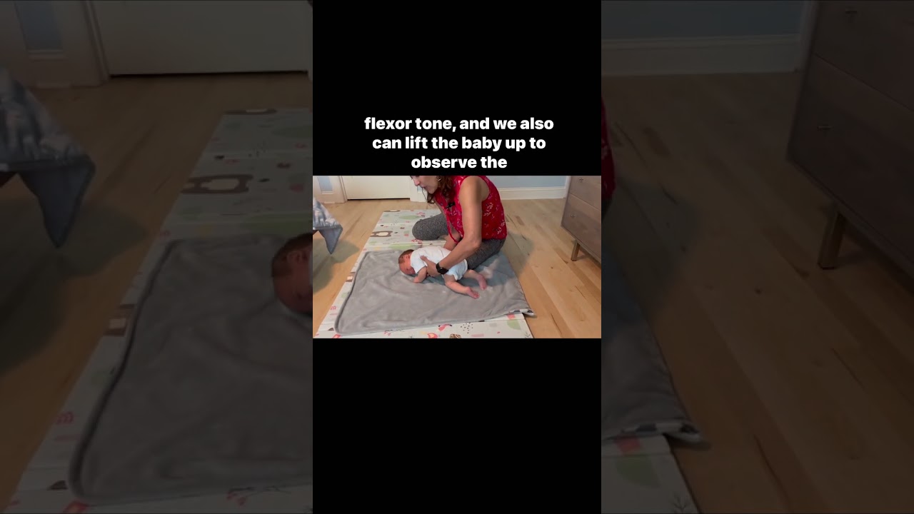 Newborn Reflexes: Tonic Labyrinthine Reflex (TLR) Maria Teresa Ferrer, Dr in Physical Therapy