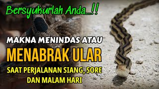 BERSYUKURLAH ANDA !! ARTI MENABRAK ULAR DI JALAN, SAAT PERJALANAN SIANG SORE DAN MALAM HARI