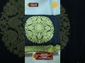 Grandeur Exclusive Pattu Sarees Collections | SRI SRI FASHION SHOWROOM #kanchipattusareesinkanchi
